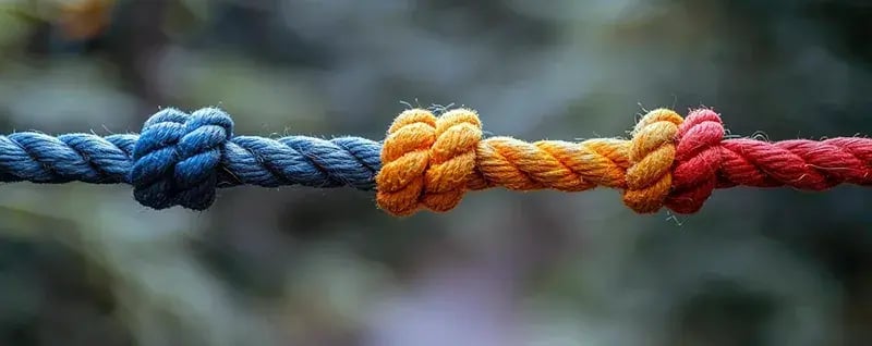 colorful knots