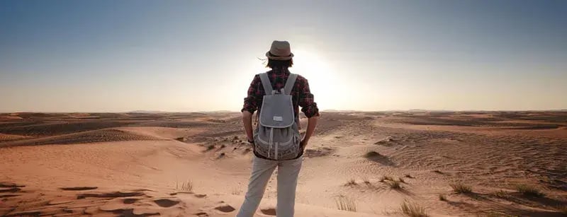traveller surveying desert