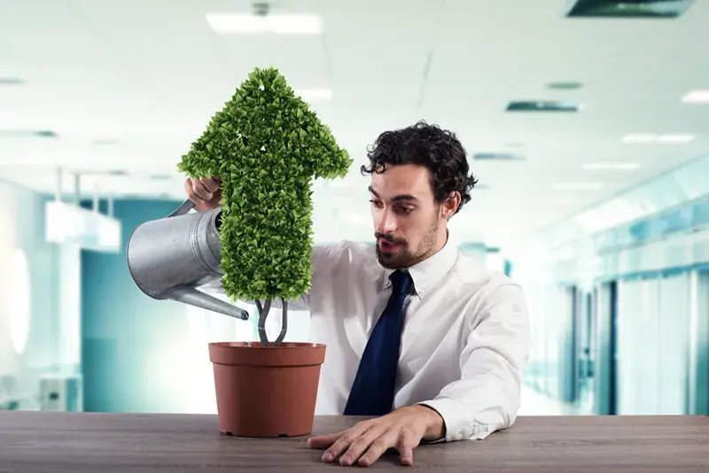 Corporate Accounting: What Changes as a Company Grows?
